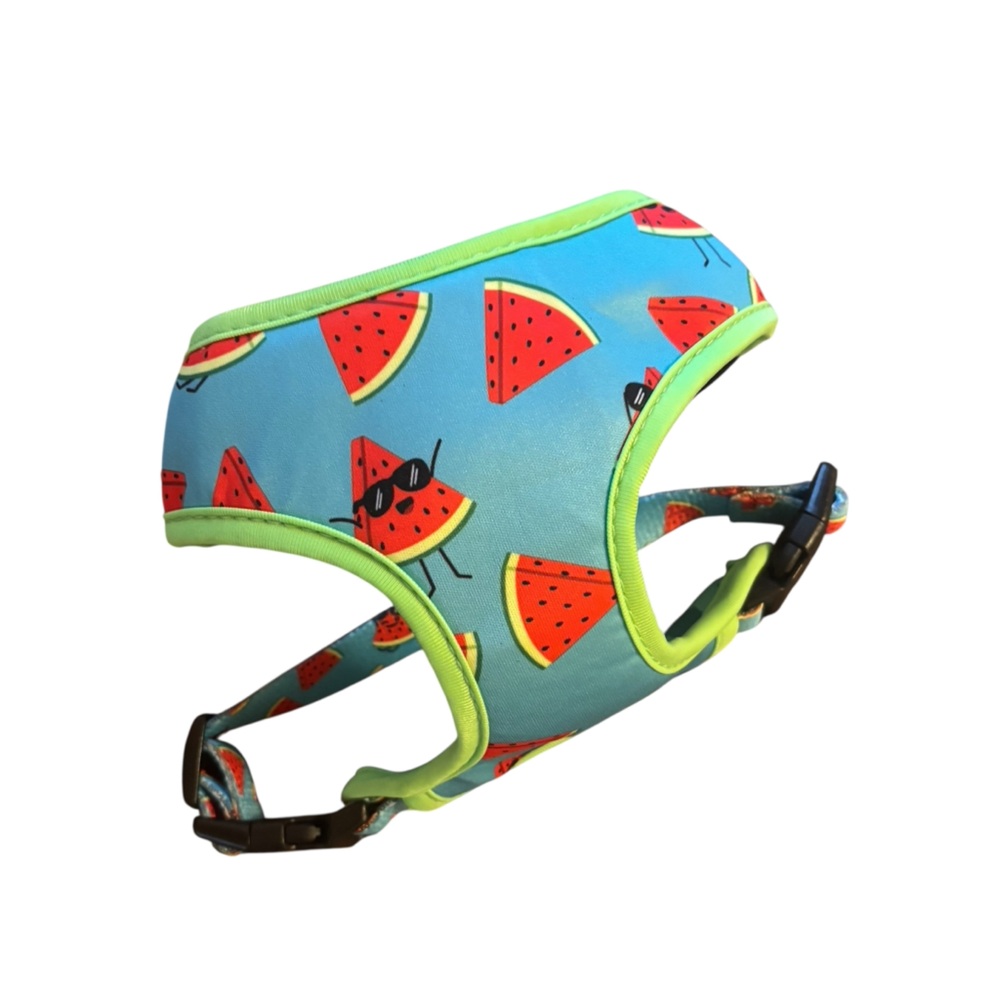 Frisco Reversible Summer Watermelon Harness XXS